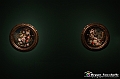 VBS_7749 - La canestra di Caravaggio